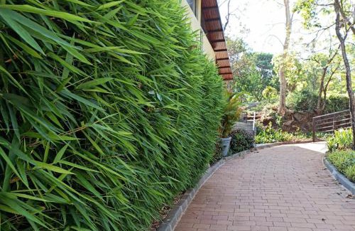 Paud Resort | Encore A Boutique Resort