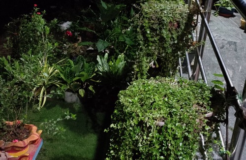 Yellapur House | Enjoy Beautiful Guest House With View