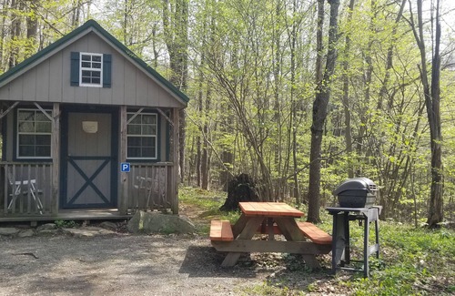 Elk Garden Cabin | Enjoy Nature At Its Finest-Rustic Furnished Cabin W/Electricity at Abrams Creek