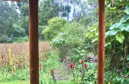 Huaran House | Enjoy the best of Sacred Valley