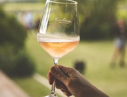 Ugarteche Hotel | Enlace Wine House