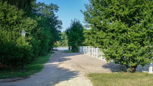 Wulkaprodersdorf House | Equiliber Reitkunstzentrum Burgenland