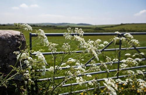 Cylch-Y-Garn House | Erw Rhys