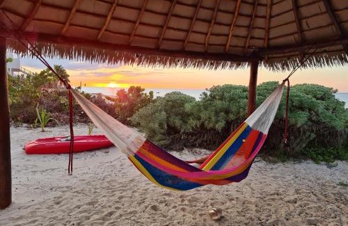 San Benito House | Escape to Paradise, Minimalist 4-BR Beachfront, 300 Mbps with amazing views