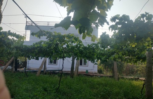 Chikkaballapur Other | Escape toTranquility, Experience the Rustic Charm of Rediscover Nature's Embrace