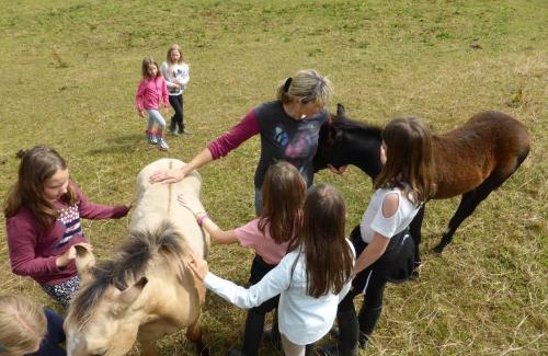 Liebenau House | Espi-Stables Ferienhof Esterhammer