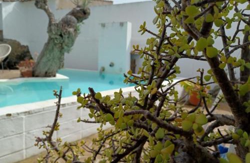 Sao Pedro do Corval Villa | Estrela do Corval