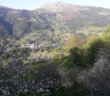 Errezil House | Etxeberri Landa Etxea