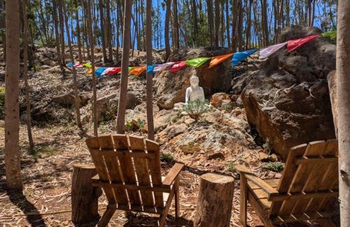 Lourinha Other | Eucalibrios-Tenda Alecrim