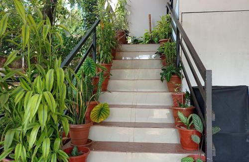 Kottappadi part Apartment | Eve's appartment