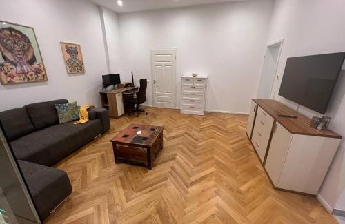 Giebichenstein Apartment | Exklusive Altbauwohnung mit Arbeitsplatz WE5