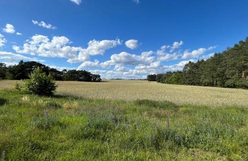 Bestensee Apartment | Exklusive Ferienwohnung bei Berlin, bis 5 Gäste, große Terrasse, Garten