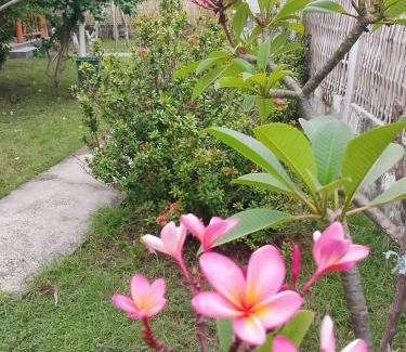 Gili Meno House | Exotic house