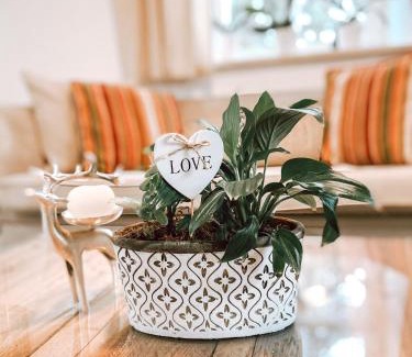 Enns Apartment | Exquisites Übernachten in der ältesten Stadt Österreichs