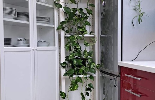 Thondorf Apartment | Extravagantes Studio: Stadtrand Graz Nähe Magna