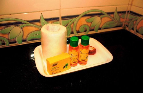 Ludhiana Hotel | Fabhotel Globe Inn