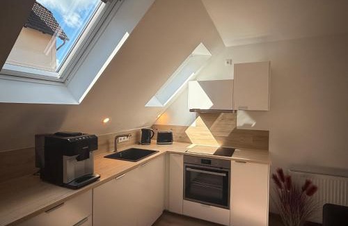 Feldberger Seenlandschaft Apartment | Familienwohnung