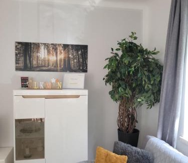 Poestlingberg Apartment | FAMILY APARTMENT LINZ Wohnen mit Garten am Fusse des Pöstlingbergs TOP LAGE Villenviertel