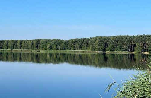 Cedzyna Apartment | Family & Business Sauna Apartments No 4 Leśny nad Zalewem Cedzyna - 2 Bedroom with Private Sauna, Bath with Hydromassage, Terrace, Parking, Catering Options