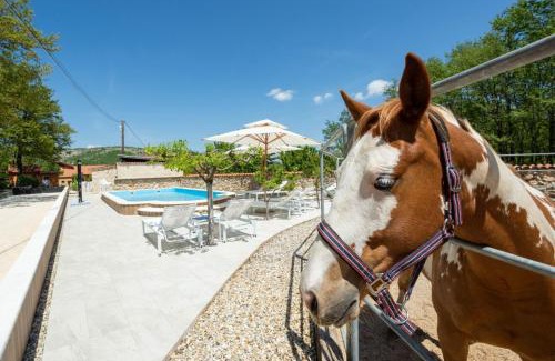 Vrlika House | Family friendly house with a swimming pool Maovice, Zagora - 24726