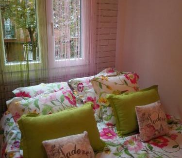 Valladolid Apartment | FANTÁSTICO PISO ARCO IRIS Junto Casco Histórico