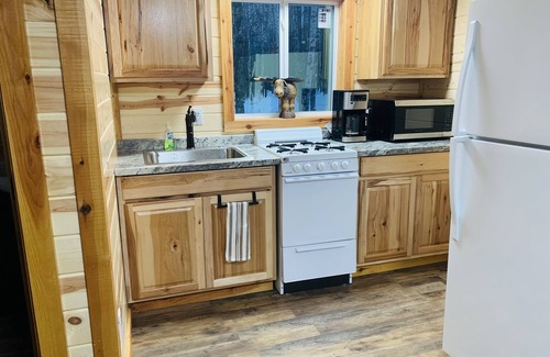 Willow Cabin | Fantastic Cabin in Willow, Sleeps 3! Full kitchen and bathroom!