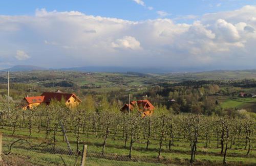 Gruszow Apartment | Fantastic View Vineyard Beskid Mountains