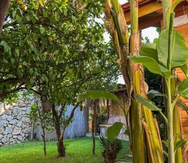 Faralya House | Faralya Misafir Evi