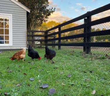 Tyabb Villa | Farm Stay HARMONY Cottage at Wilindi Estate