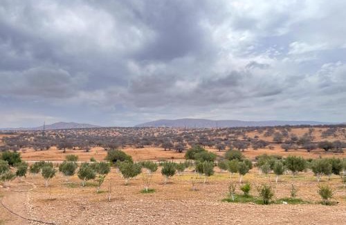 Tidzi Villa | Farm Villa with pets