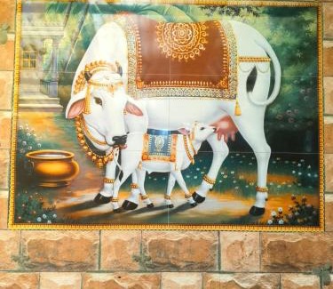 Yercaud Villa | farmer homestay yercaud