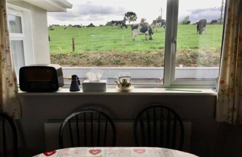 Coolbawn House | Farmer's Cottage
