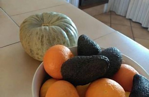 La Vall de Laguar Cottage | Farmhouse L'Era del Moll for 6 people