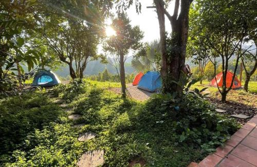 Da Huoai House | FarmStay Vua Sầu Riêng