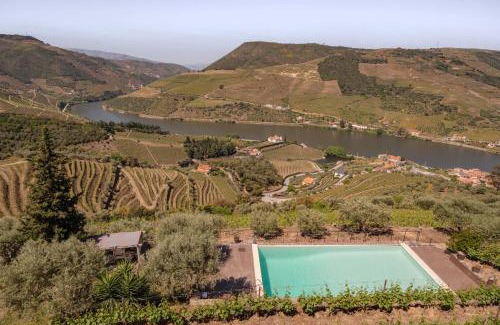 Armamar Villa | Feel Discovery Alvim's Douro