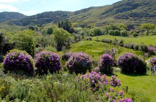 Lauragh House | Fehanaugh Cottage