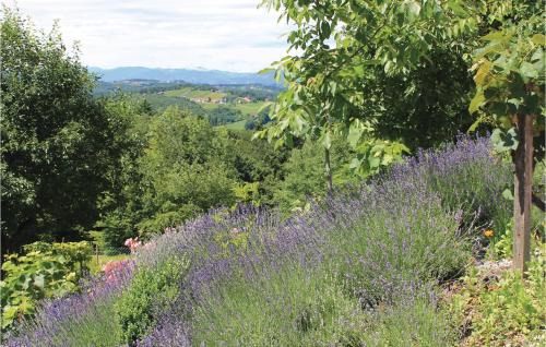 Breitenfeld an der Rittschein House | Ferienhaus Mit Pool Und Sauna