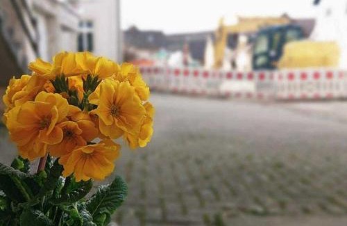 Kenzingen Apartment | Ferien im Heckenland