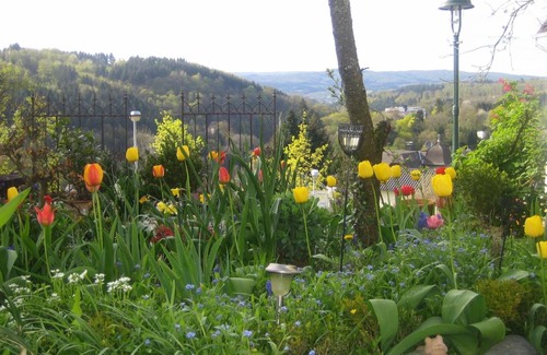 Braunfels Apartment | Ferien-Schlossblick