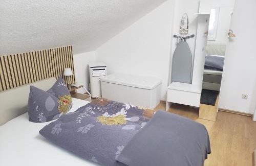 Striesen Apartment | Ferienapartements Girrbach