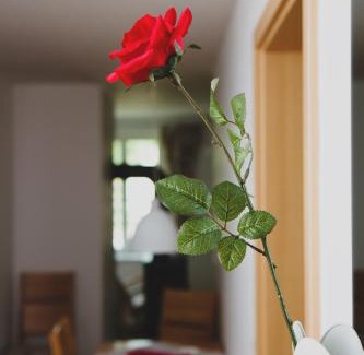 Schoeneberg b. Angermuende Apartment | Ferienappartements Schweizer Haus