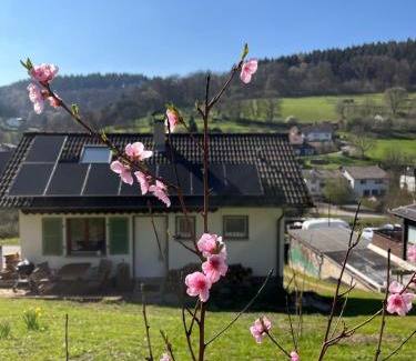 Schonbrunn House | Ferienhäusel Allemühl