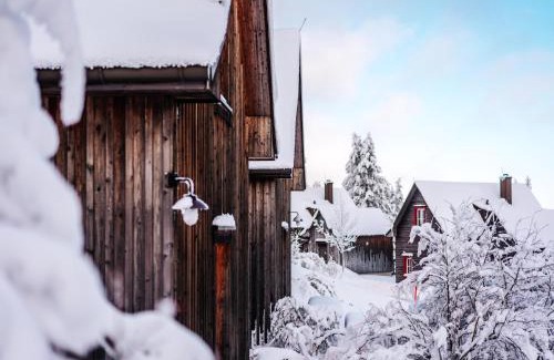 Torfhaus House | Ferienhäuser, Torfhaus Harz
