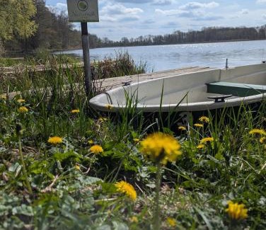 Mustin House | Ferienhaus am See mit Ruderboot