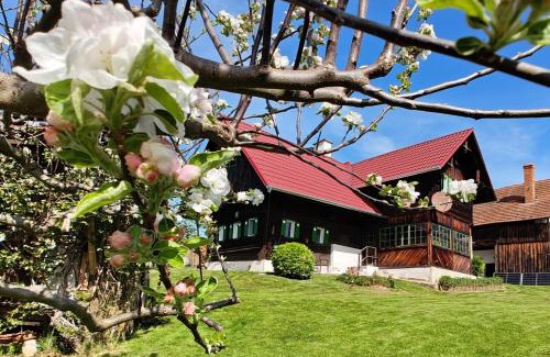 Sankt Stefan ob Stainz House | Ferienhaus Müller Bauernhaus