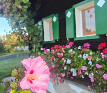 Sankt Stefan ob Stainz House | Ferienhaus Müller Bauernhaus