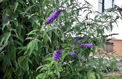 Minderlittgen House | Ferienhaus Auf Pötsch