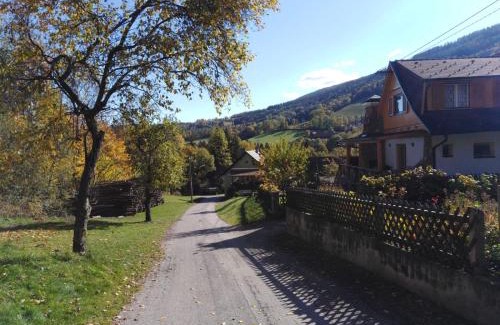 Trattenbach Apartment | Ferienhaus Bauer Wohnung 2