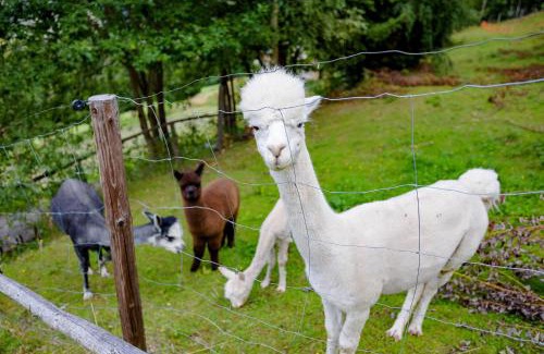 Murtal District House | Ferienhaus Birker