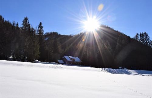 Turnau House | Ferienhaus Dirnbacher Hütte